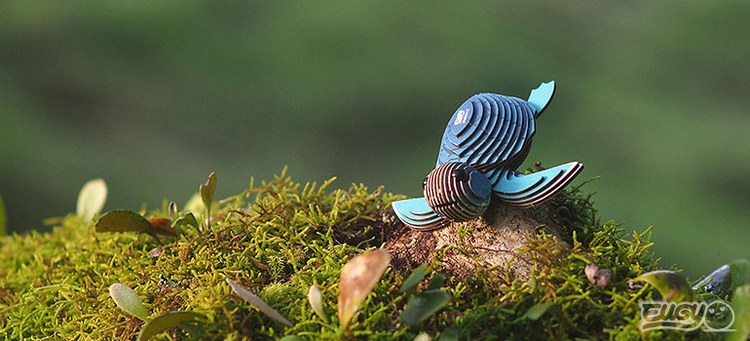 Eugys and Geotoys | Mountain Kids Toys