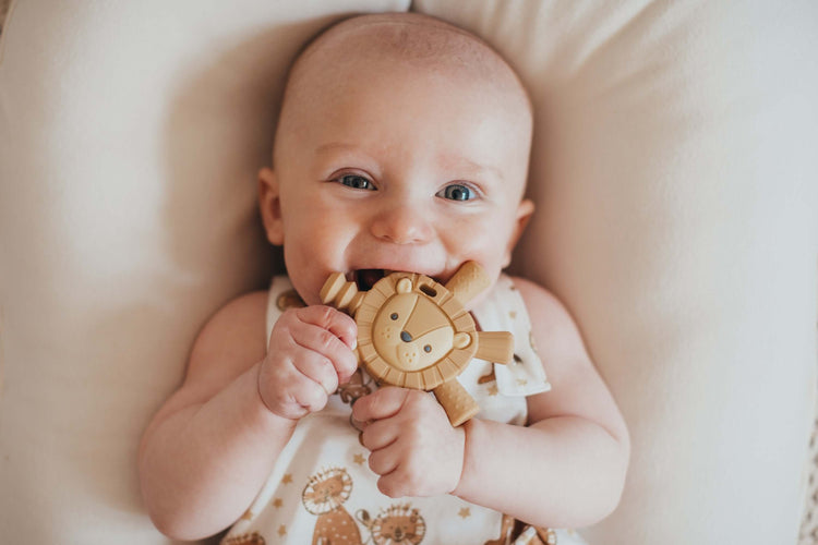 Teethers and Rattles