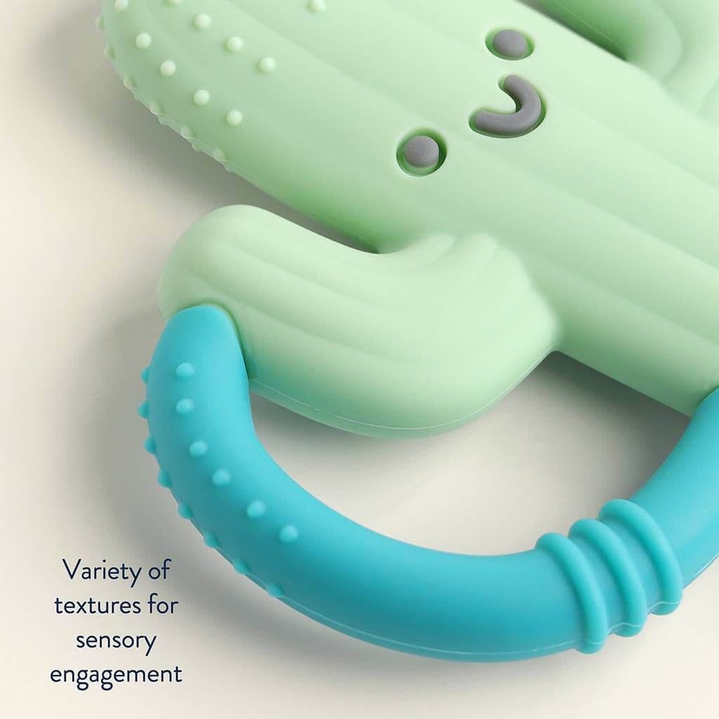 Cooper the Cactus silicone teether with easy-to-hold handles and textured blue grip for teething relief. BPA and PVC free.