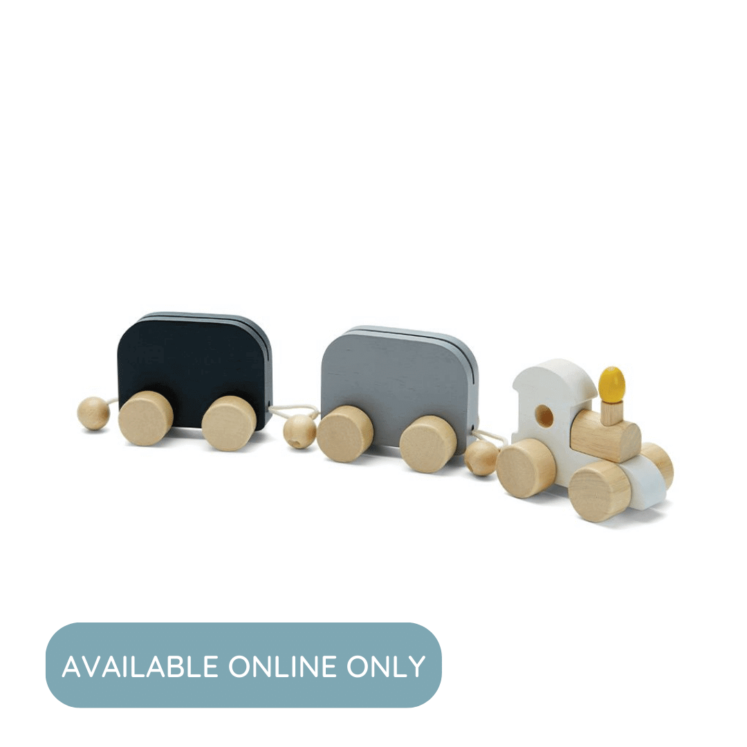 Celebration Train, PlanToys USA, eco-friendly Toys, Mountain Kids Toys