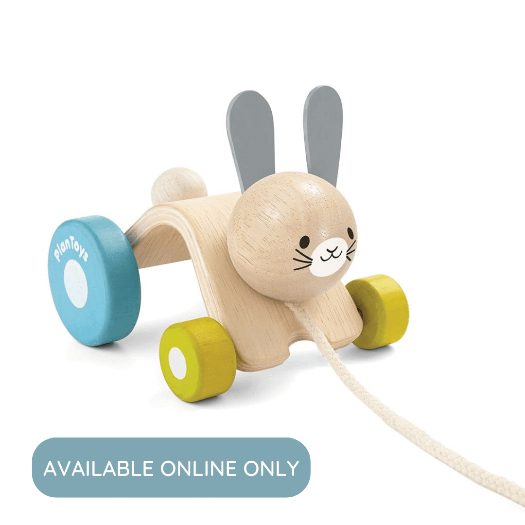Hopping Rabbit, PlanToys USA, eco-friendly Toys, Mountain Kids Toys