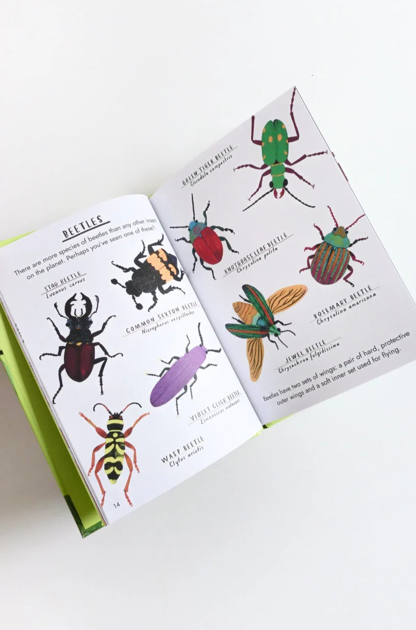 Hello Bugs: A Little Guide
