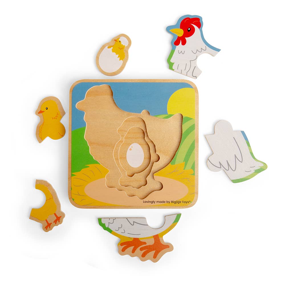 Lifecycle Puzzle - Chicken