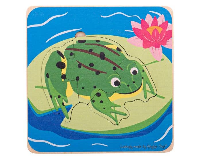 Lifecycle Layer Puzzle - Frog