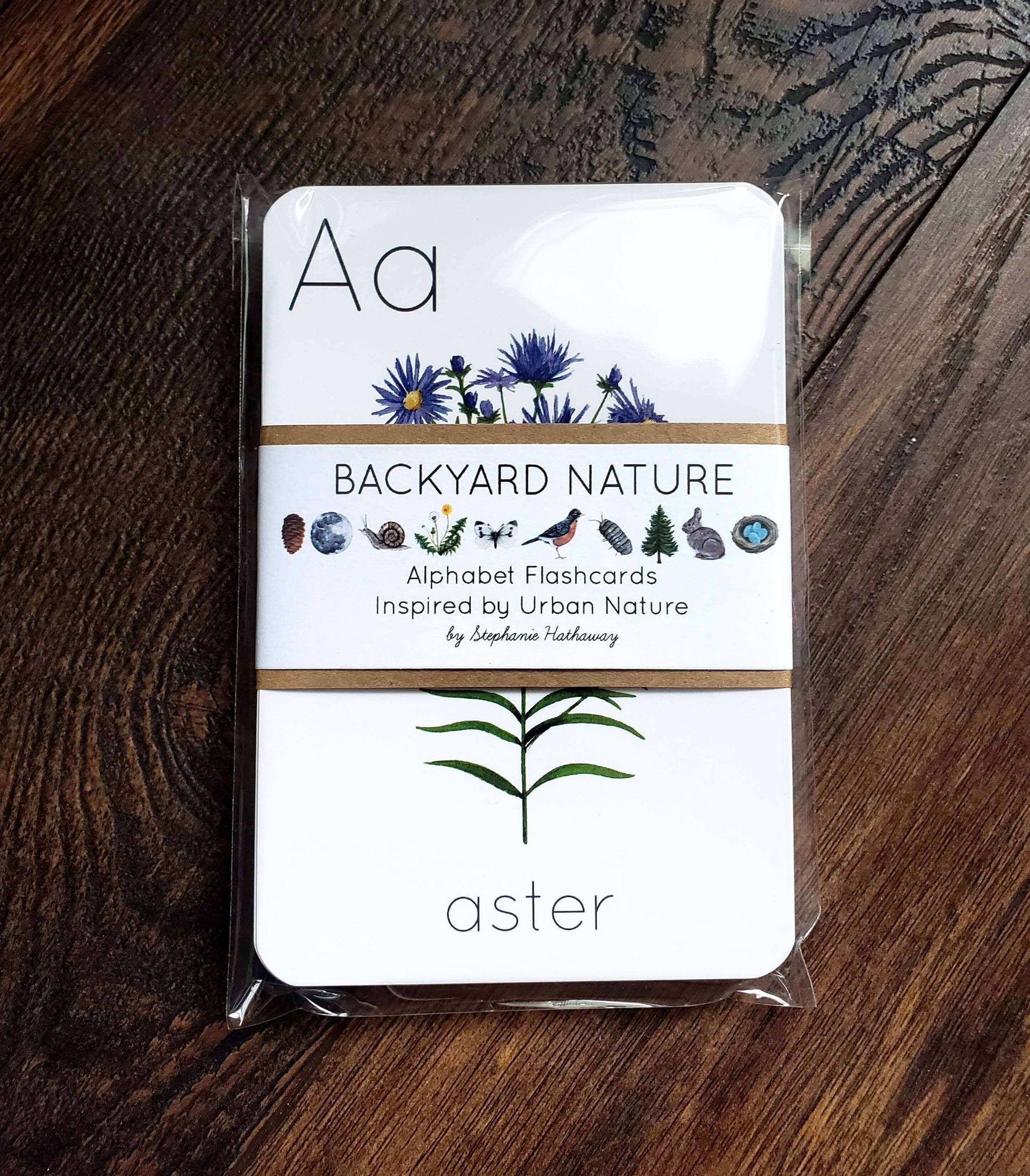 Backyard Nature Alphabet Flashcards, Stephanie Hathaway Designs, eco-friendly Toys, Mountain Kids Toys