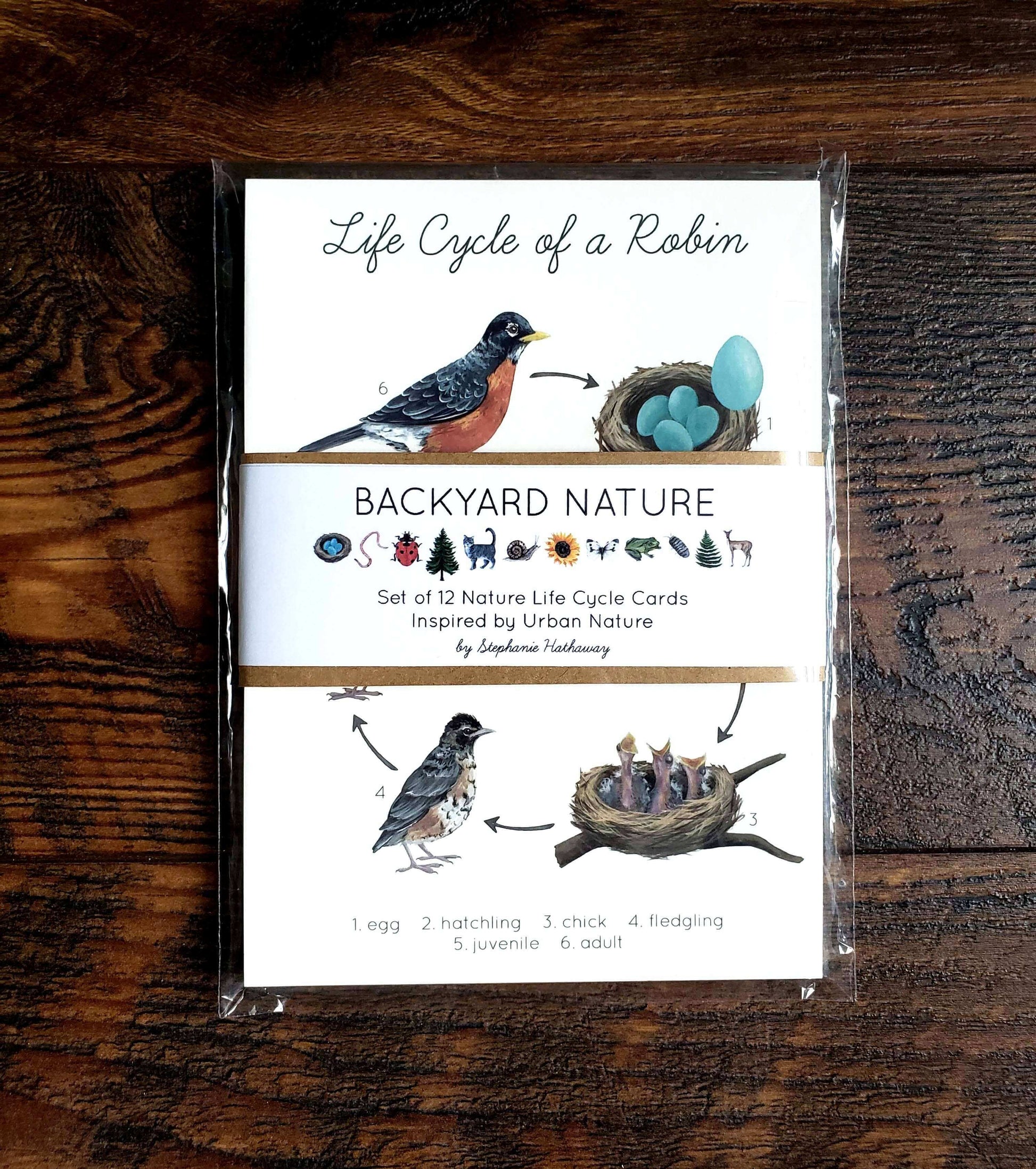 Backyard Nature Life Cycles Learning Cards, Stephanie Hathaway Designs, eco-friendly Toys, Mountain Kids Toys