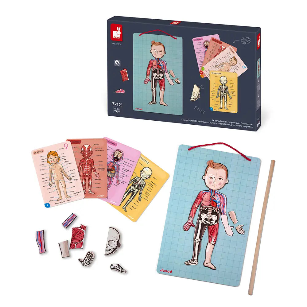 Body Magnetic Educational Game