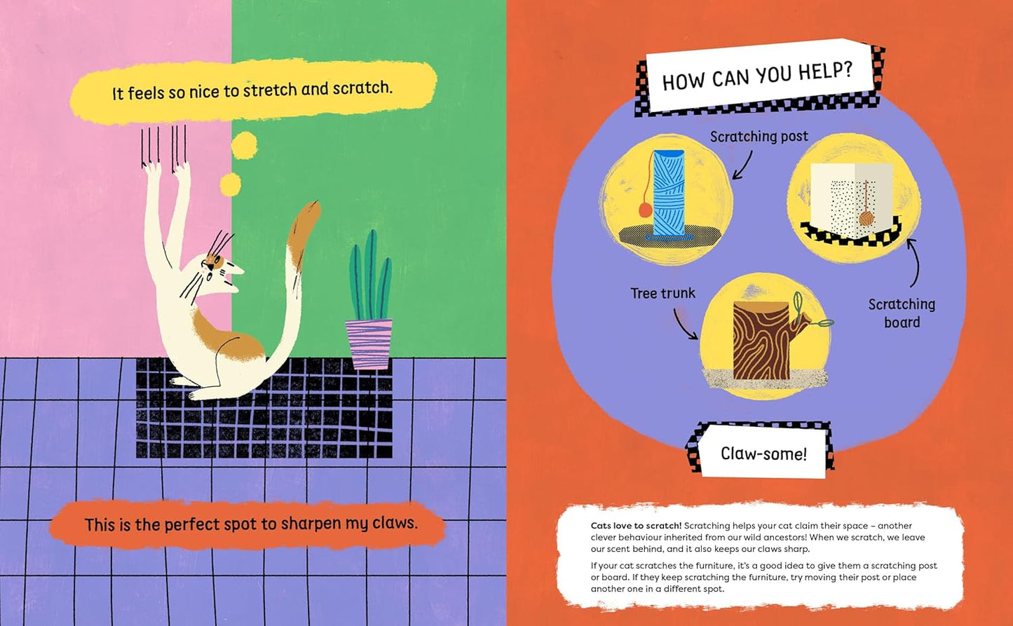 Please Look After This Cat Book Kasia Antczak