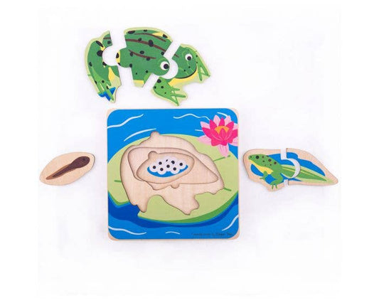 Lifecycle Layer Puzzle - Frog