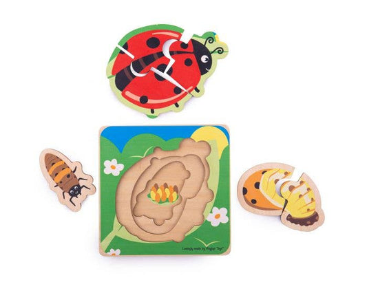 Lifecycle Layer Puzzle - Ladybug