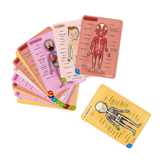 Body Magnetic Educational Game