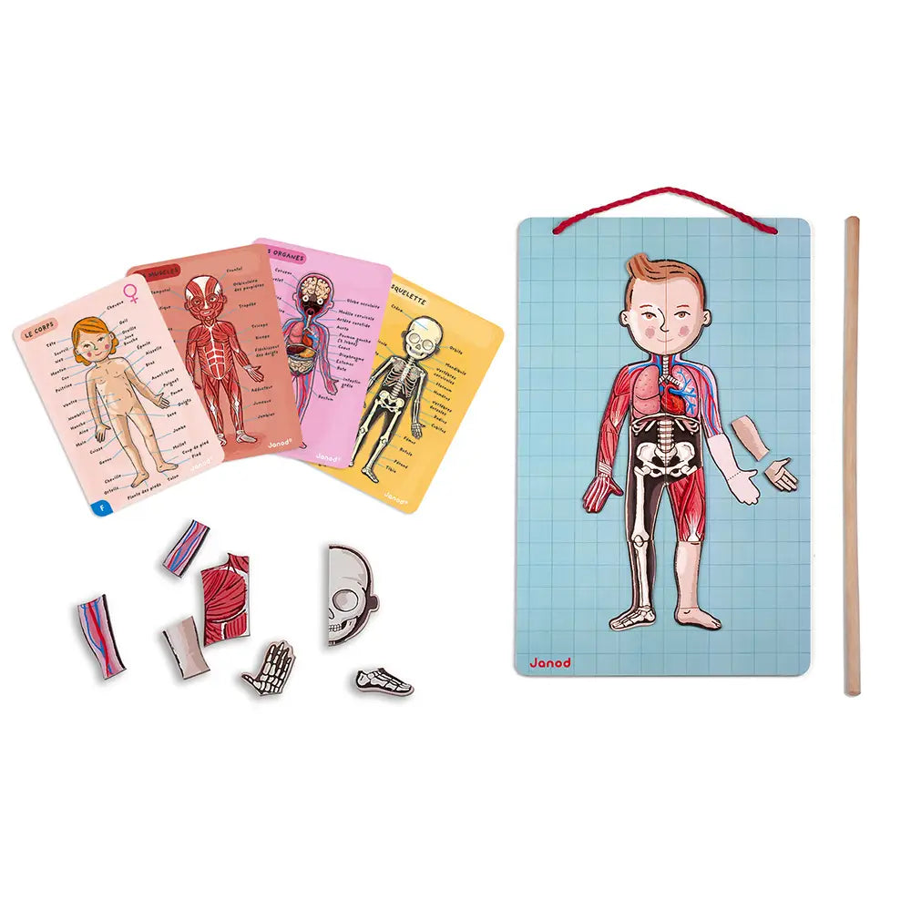 Body Magnetic Educational Game