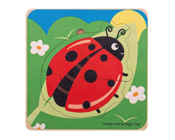 Lifecycle Layer Puzzle - Ladybug