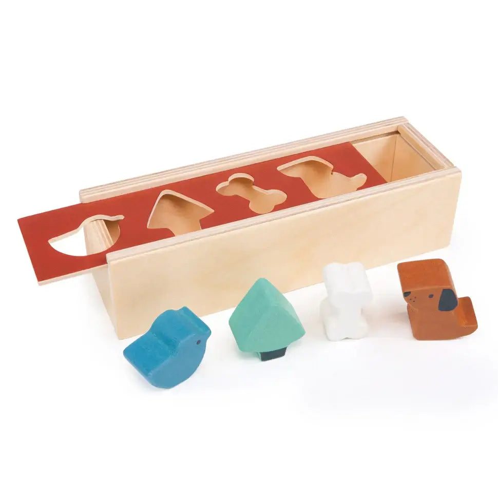 Pet Shape Sorting Box