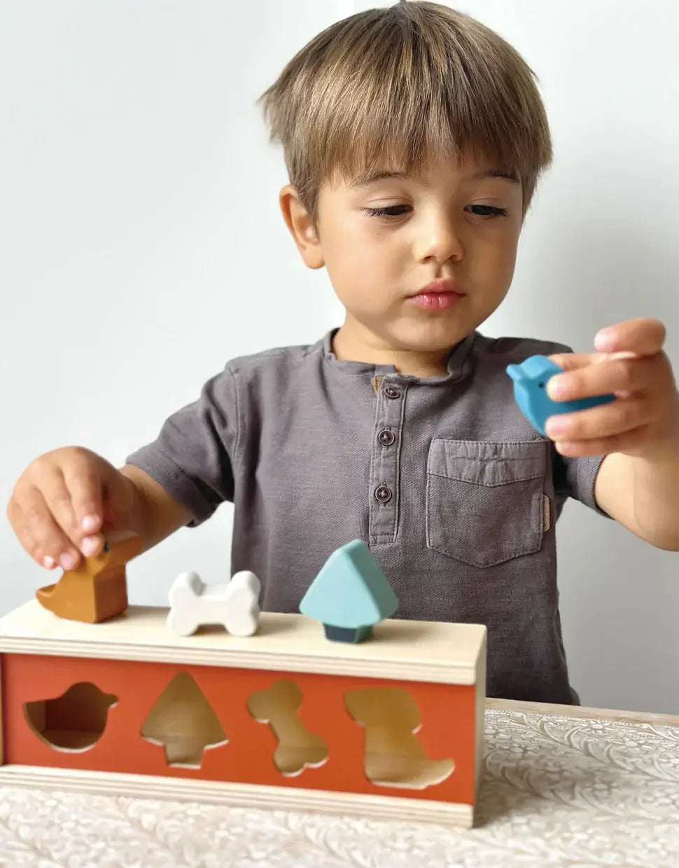 Pet Shape Sorting Box