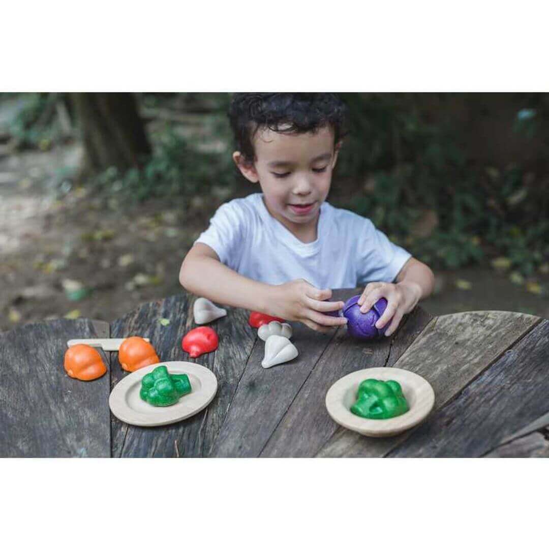 5 Colors Veggie Set, PlanToys USA, eco-friendly Toys, Mountain Kids Toys