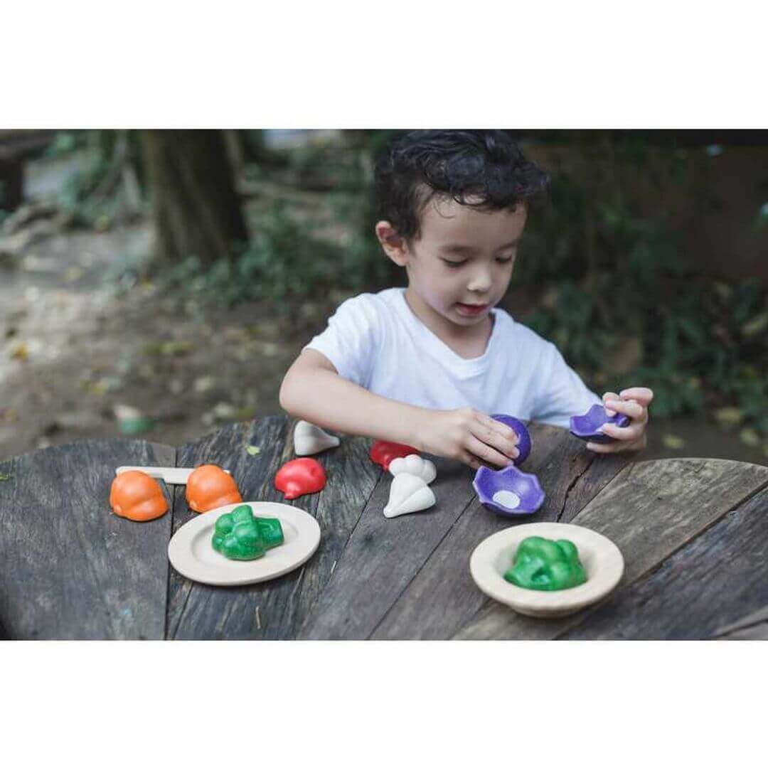 5 Colors Veggie Set, PlanToys USA, eco-friendly Toys, Mountain Kids Toys